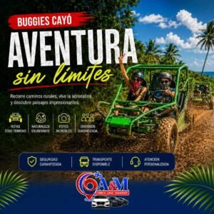 Buggies Cayó